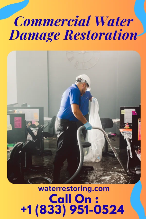 Commercial Water Damage Restoration in Cahokia, IL